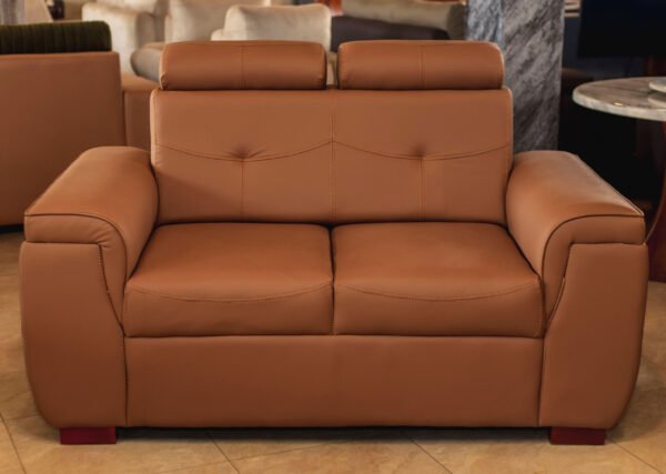Brown Leather Couch