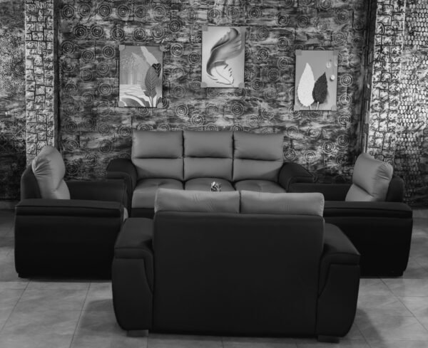 Black & Grey Fully Leather Couch